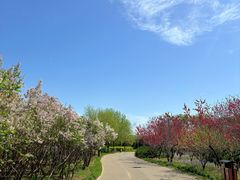 -永定河休闲森林公园