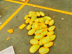 -三亚新鸿港水果一级批发市场