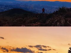 -长虫山生态公园风景林