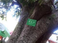-南诏风情岛
