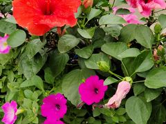 -苏州河梦清园环保主题公园