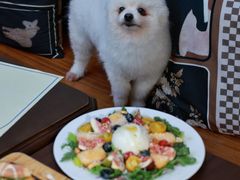 -沏点Trattoria意大利餐厅(新街口店)