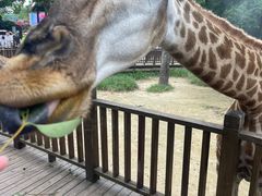 -上海海洋水族馆