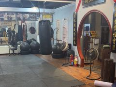 -温鉴良实用咏春拳