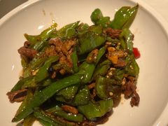 -大鸭梨烤鸭店(花园村店)