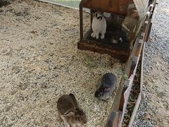 -HERRE·FARM 赫尔露营农场·团建聚会包场