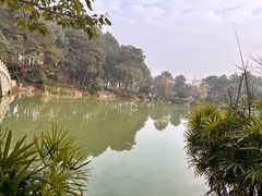 -铁山坪森林公园