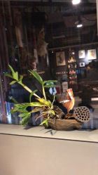 -周忆刺青原创设计定制