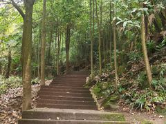 -凤栖山
