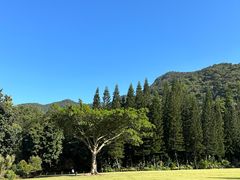 -深圳仙湖植物园