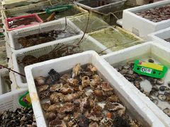 -外伶仃岛海鲜市场