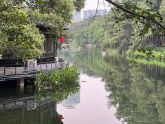 -侨美·唐荔园·40年地道粤菜