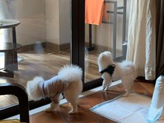 -上海崇明金茂凯悦酒店