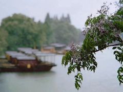 -通安客栈中餐厅·何家小馆