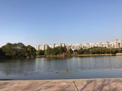 -新江湾城公园