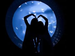 -成都浩海立方海洋公园