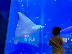 -成都浩海立方海洋公园