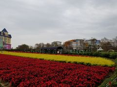 -百万葵园