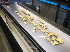 -安阳博物馆