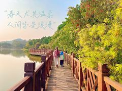 -番禺大夫山森林公园