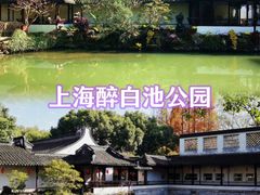 -上海醉白池公园