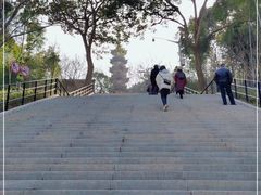 -上海佘山国家森林公园西佘山园