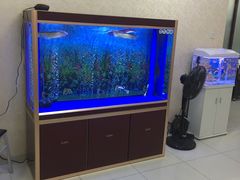 -宜华康盲人按摩(中关村店)