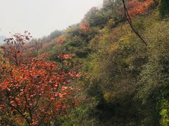 -青龙山生态文化旅游区(慈云寺)