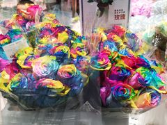 -盒马X会员店(上海森兰商都店)