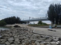 -宝安西湾红树林湿地公园