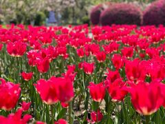 -玄武湖景区-情侣园游乐场