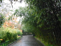 -紫竹院公园冰场