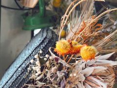 -参差咖啡(水果湖公园店)