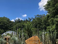 -深圳仙湖植物园