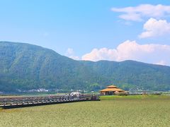 -腾冲北海湿地