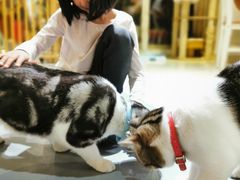 -小时光咖啡馆(开森度假森林店)