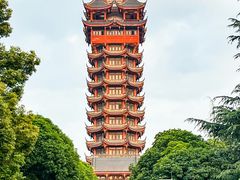-塔子山公园