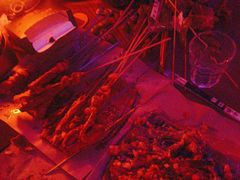 -夜火烤摊·东北烧烤酒场·老杨小黄鱼