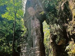 -蝶舞清江·恩施地心谷景区