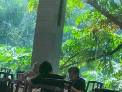 -侨美·唐荔园·40年地道粤菜