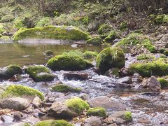 -三块石国家森林公园