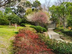 -宝通禅寺