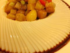 千叶豆腐-利苑酒家(合景国际金融广场店)