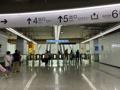 -东方体育中心(地铁站)