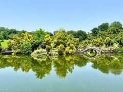 -张坝桂圆林公园