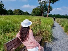 -汉长安城未央宫国家考古遗址公园