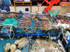 水产区-鸿港海鲜批发市场