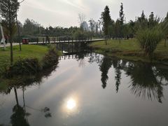 -眉山湿地公园(东坡区)