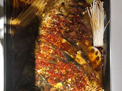 油泼香辣清江鱼-鱼酷活鱼烤鱼(南京水游城店)