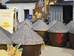 -苏州市吴中区光福窑上花果蜜饯厂